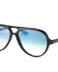 Ray Ban RB4125 601/3F CATS 5000